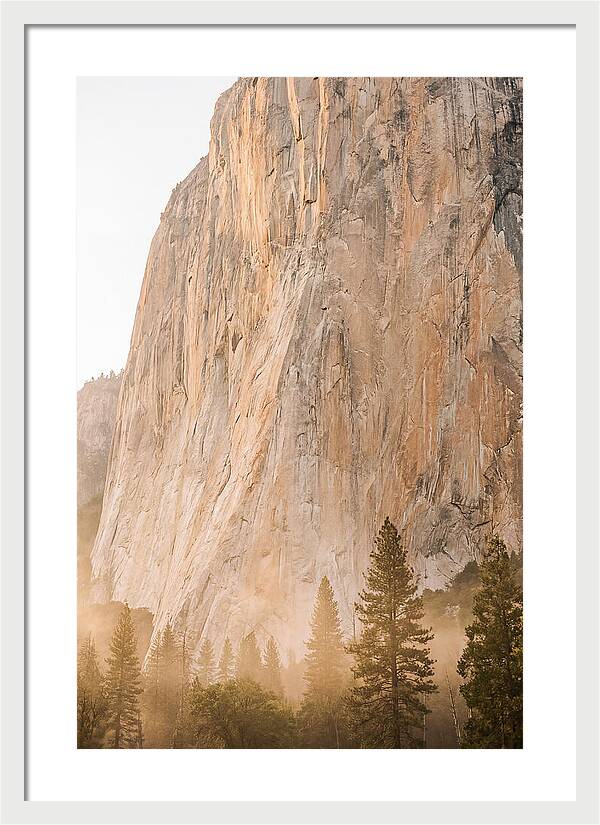 Yosemite Valley Morning Glow