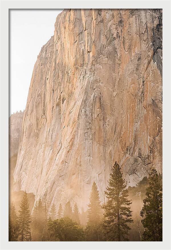Yosemite Valley Morning Glow