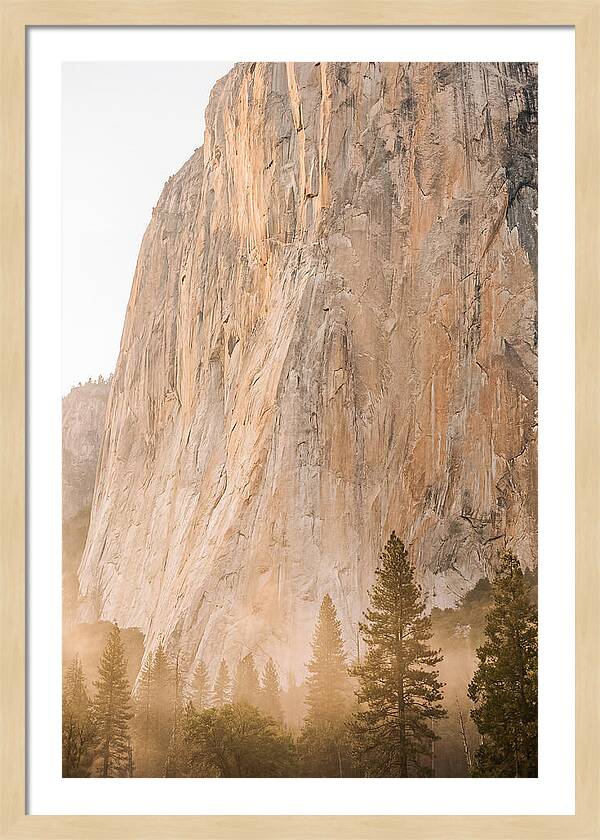 Yosemite Valley Morning Glow