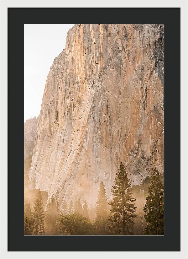 Yosemite Valley Morning Glow