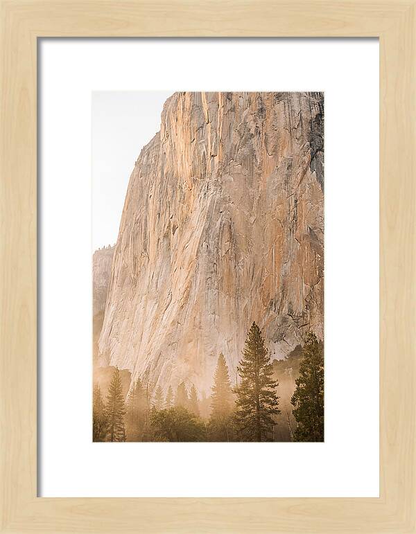 Yosemite Valley Morning Glow