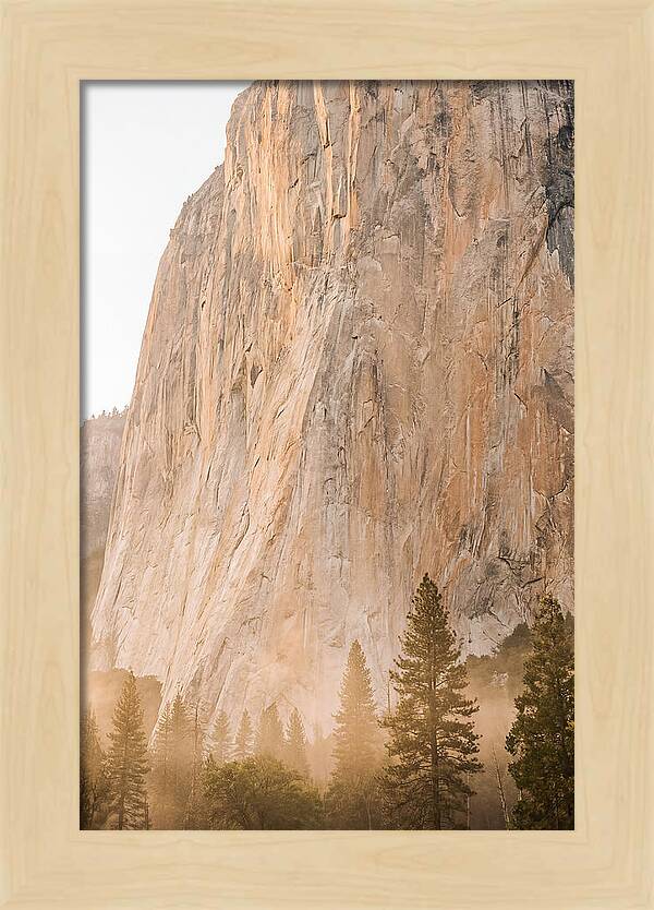 Yosemite Valley Morning Glow