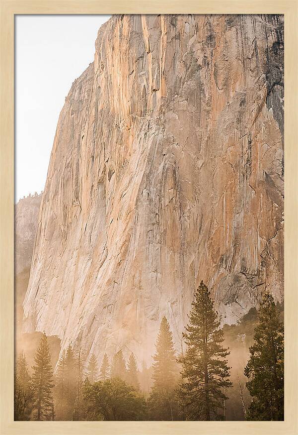 Yosemite Valley Morning Glow