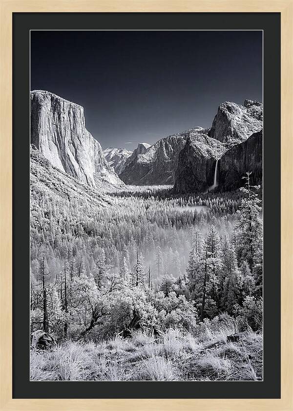 Yosemite Valley Sunrise Serenity