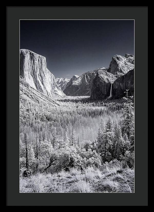 Yosemite Valley Sunrise Serenity