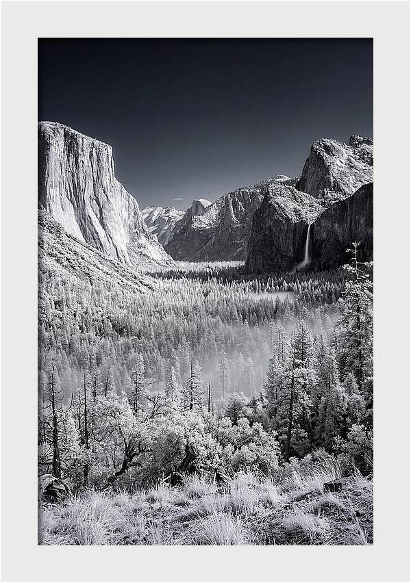 Yosemite Valley Sunrise Serenity