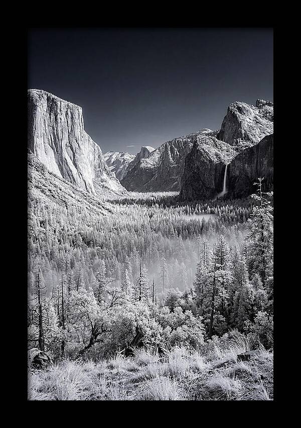 Yosemite Valley Sunrise Serenity