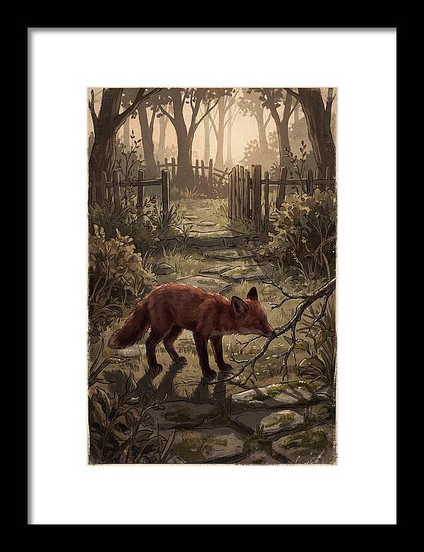 Young Fox Exploring Garden At First Light