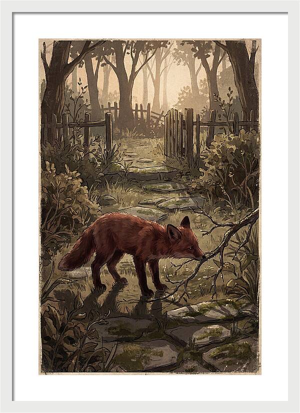 Young Fox Exploring Garden At First Light