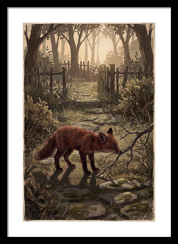 Young Fox Exploring Garden At First Light