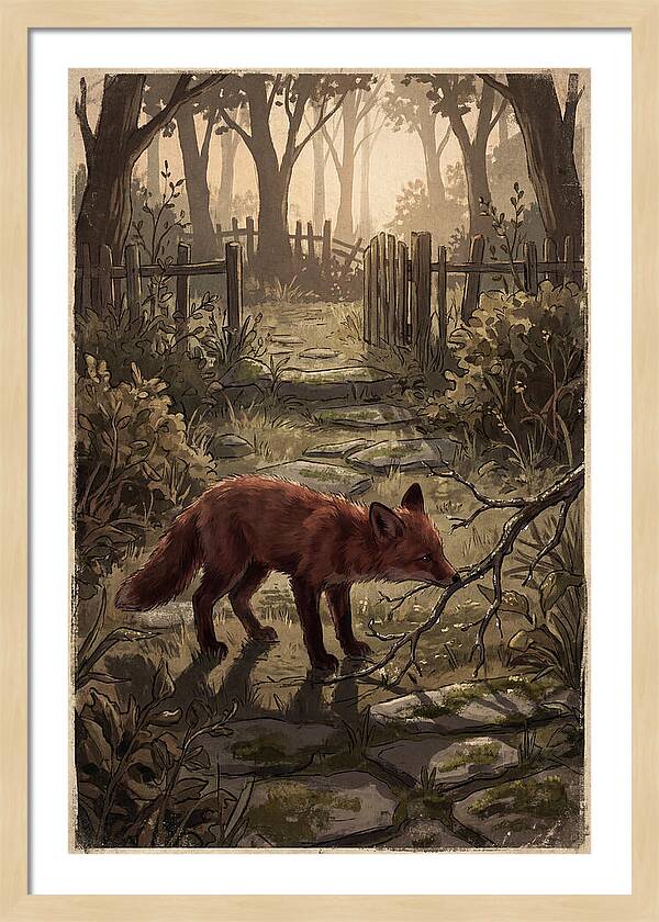 Young Fox Exploring Garden At First Light