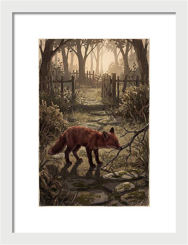Young Fox Exploring Garden At First Light