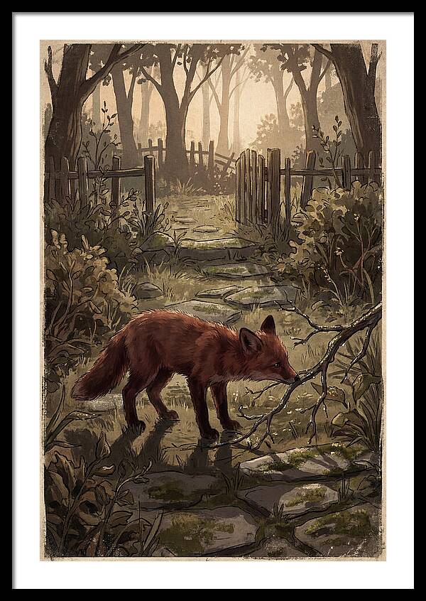 Young Fox Exploring Garden At First Light