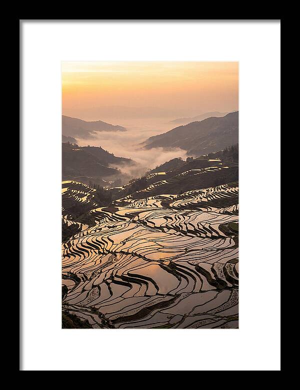 Yuanyang Rice Terraces At Sunrise