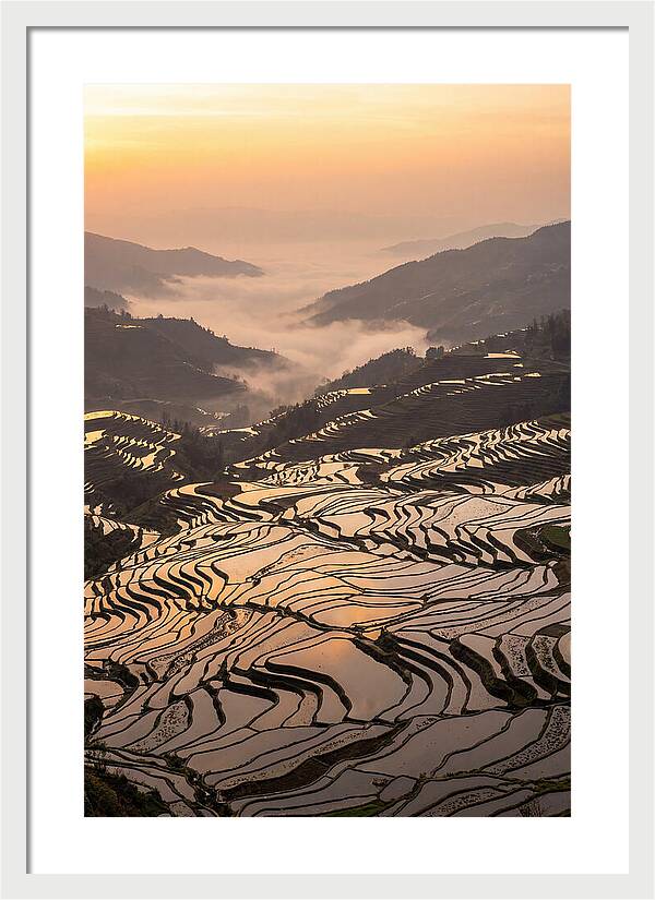Yuanyang Rice Terraces At Sunrise