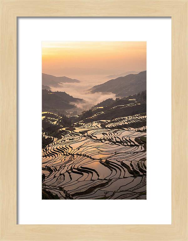 Yuanyang Rice Terraces At Sunrise