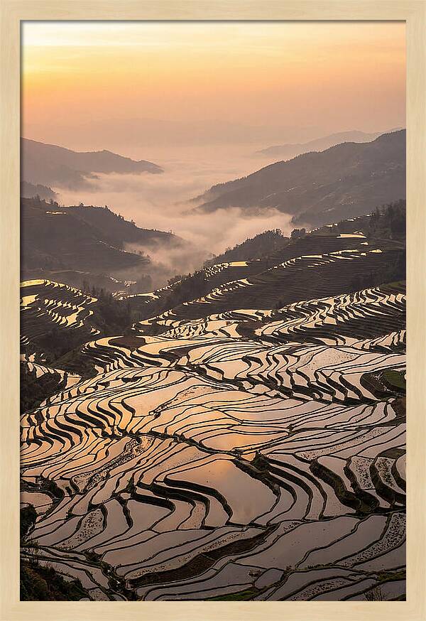 Yuanyang Rice Terraces At Sunrise