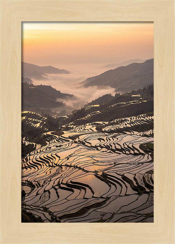 Yuanyang Rice Terraces At Sunrise