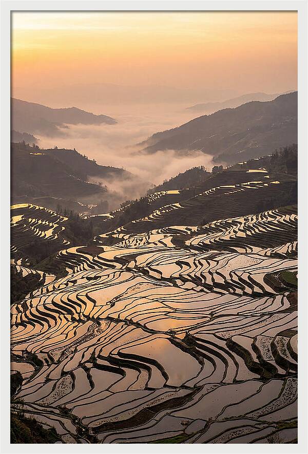 Yuanyang Rice Terraces At Sunrise