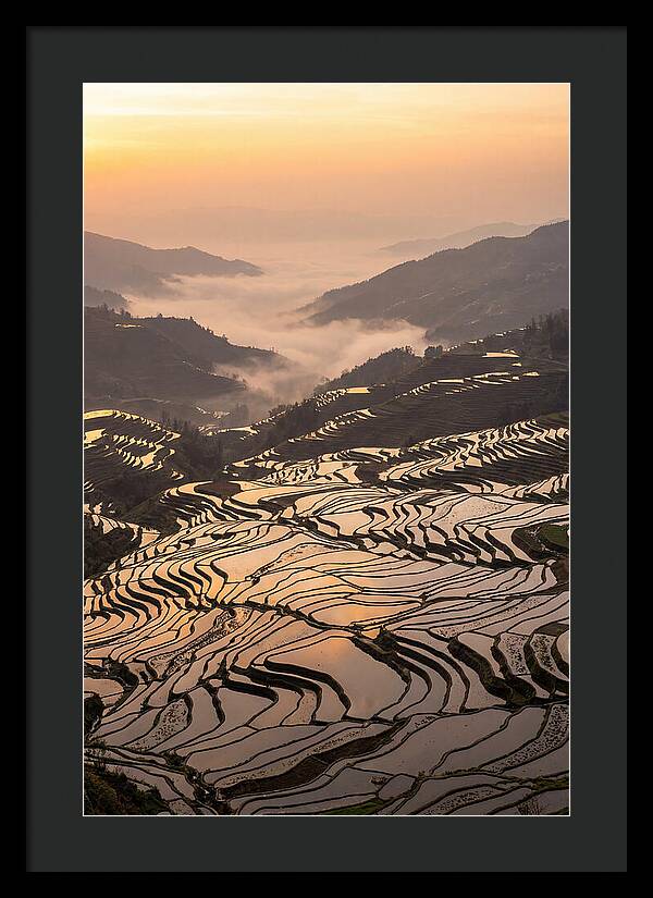 Yuanyang Rice Terraces At Sunrise