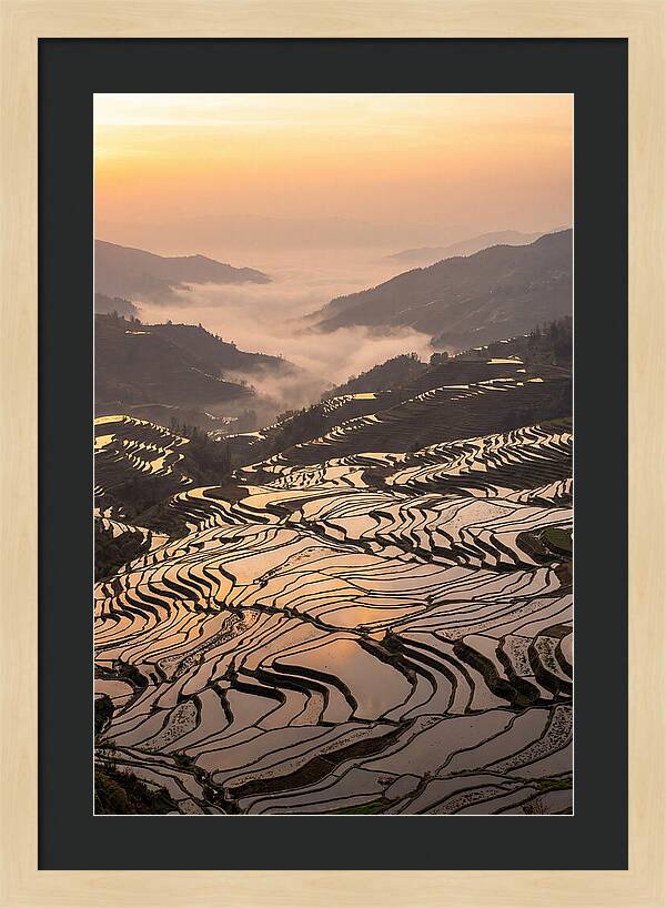 Yuanyang Rice Terraces At Sunrise