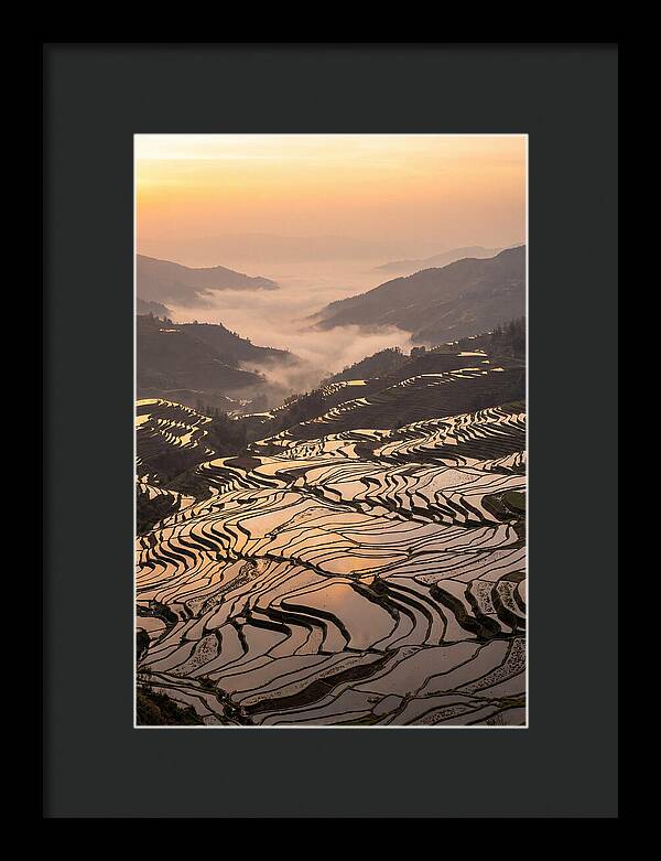 Yuanyang Rice Terraces At Sunrise