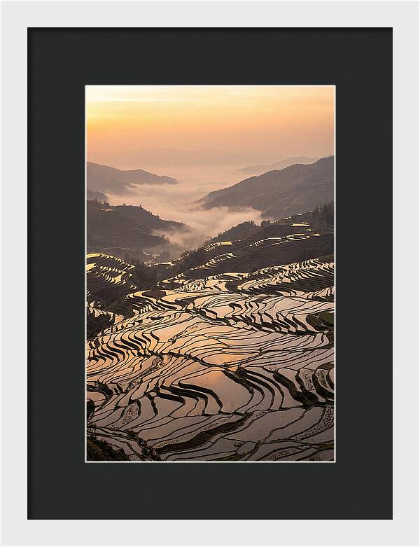 Yuanyang Rice Terraces At Sunrise