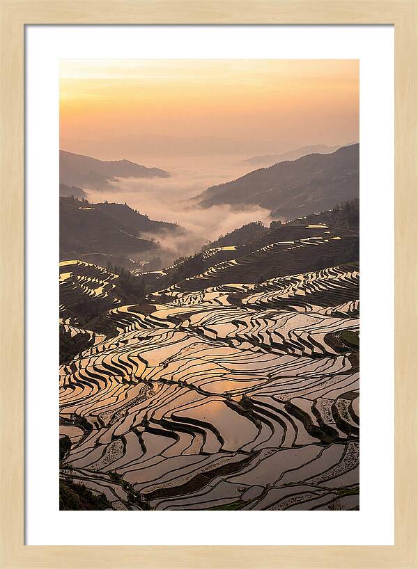 Yuanyang Rice Terraces At Sunrise