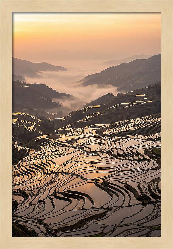 Yuanyang Rice Terraces At Sunrise