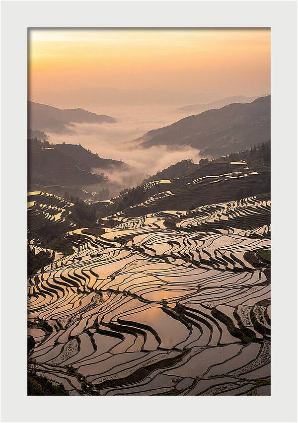 Yuanyang Rice Terraces At Sunrise