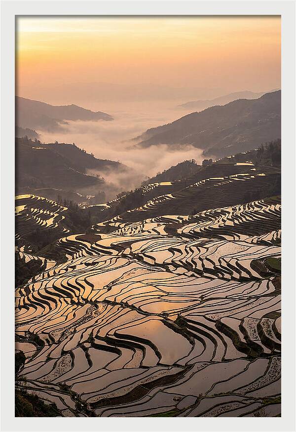 Yuanyang Rice Terraces At Sunrise