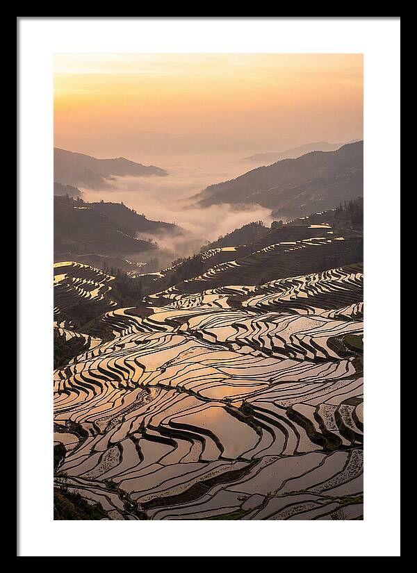 Yuanyang Rice Terraces At Sunrise