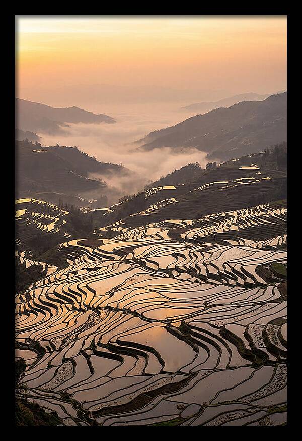 Yuanyang Rice Terraces At Sunrise