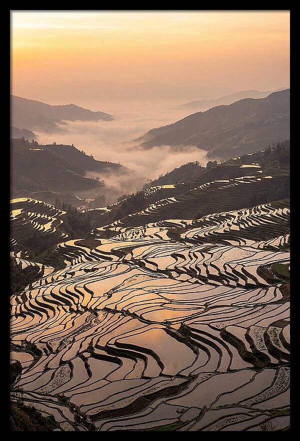Yuanyang Rice Terraces At Sunrise
