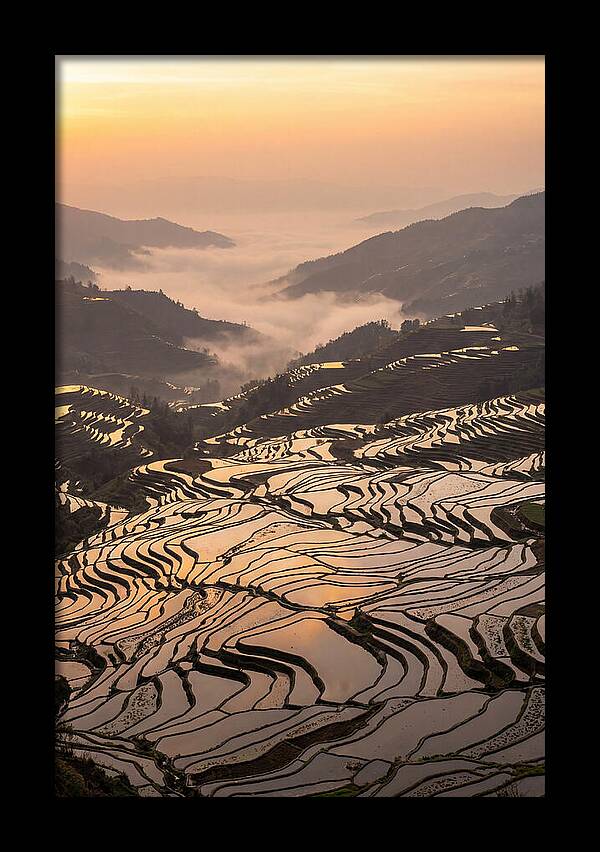 Yuanyang Rice Terraces At Sunrise