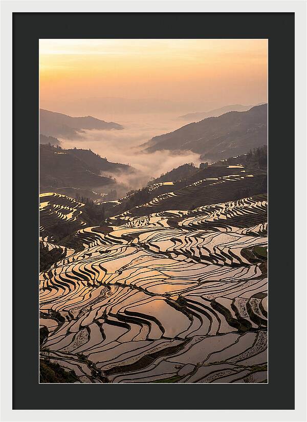 Yuanyang Rice Terraces At Sunrise