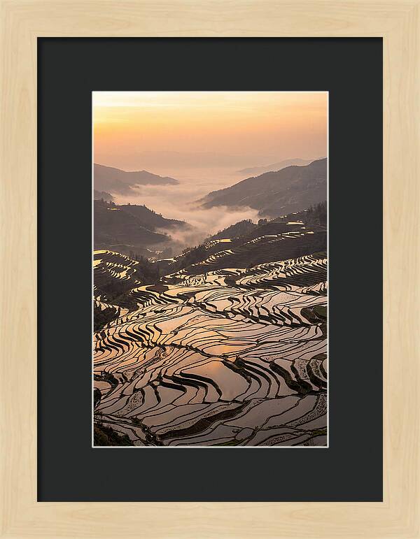 Yuanyang Rice Terraces At Sunrise