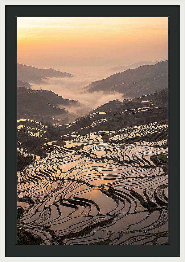 Yuanyang Rice Terraces At Sunrise