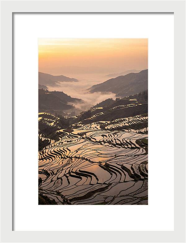 Yuanyang Rice Terraces At Sunrise