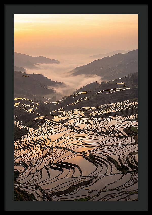 Yuanyang Rice Terraces At Sunrise