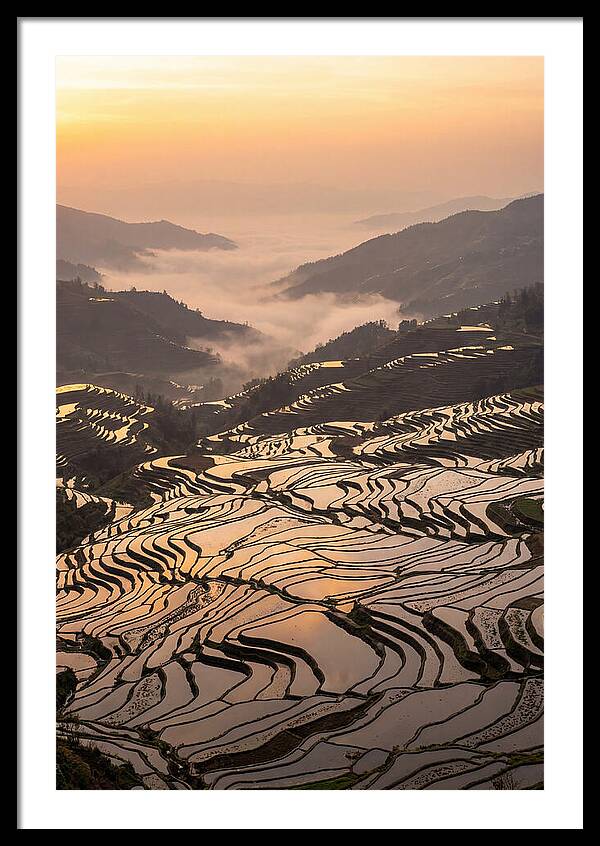 Yuanyang Rice Terraces At Sunrise