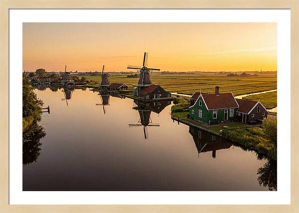 Zaanse Schans Windmills At Golden Hour