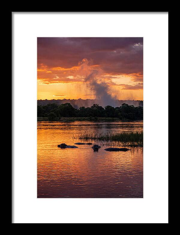 Zambezi River Sunset Serenity
