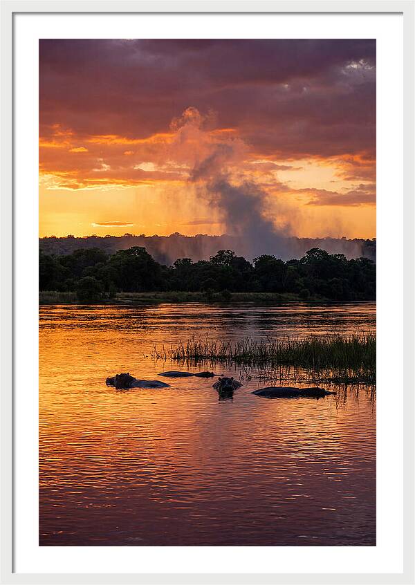 Zambezi River Sunset Serenity