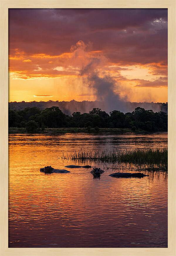 Zambezi River Sunset Serenity