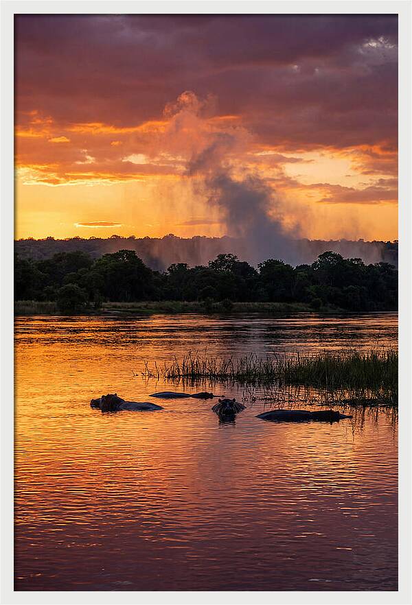 Zambezi River Sunset Serenity