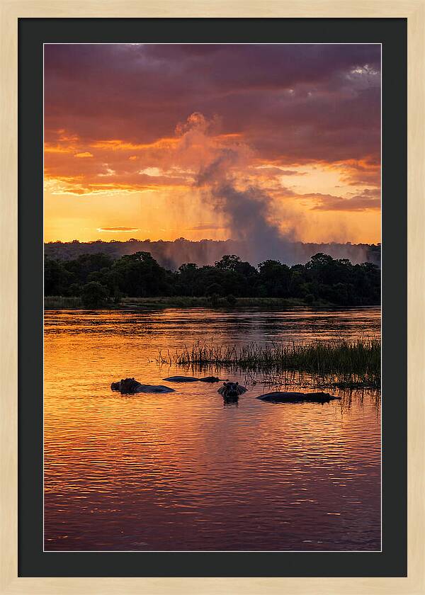Zambezi River Sunset Serenity
