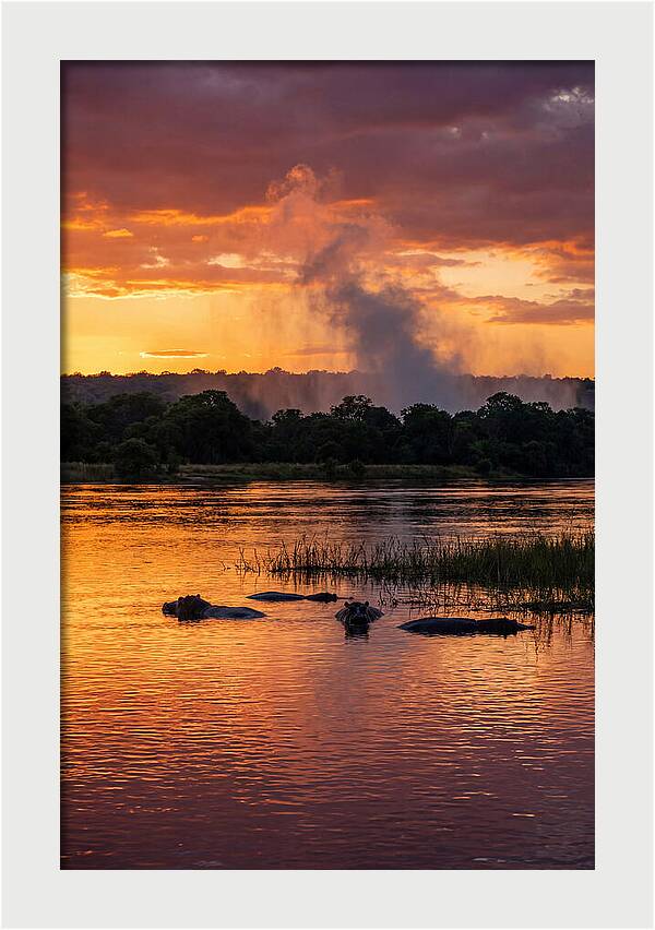 Zambezi River Sunset Serenity