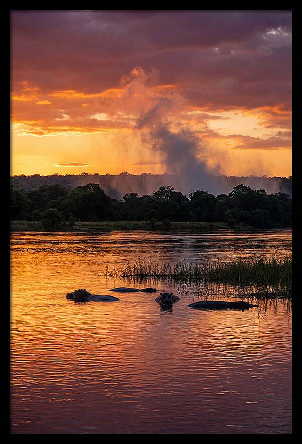 Zambezi River Sunset Serenity
