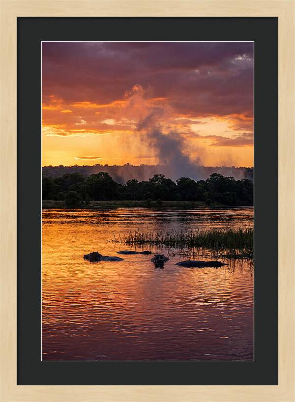 Zambezi River Sunset Serenity